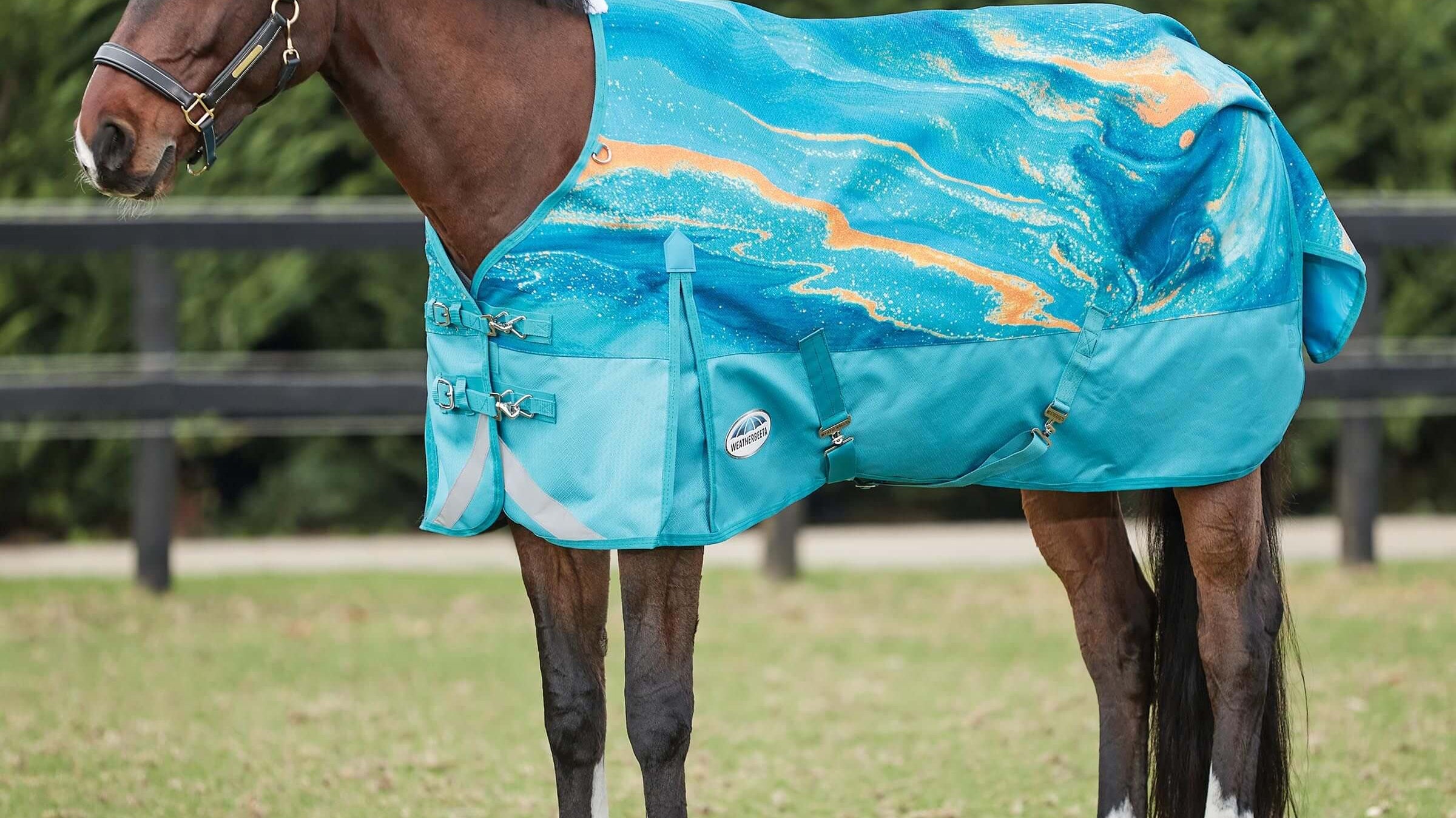 Our Top 10 Lightweight Horse Rugs: Top Picks and Everything You Need to Know