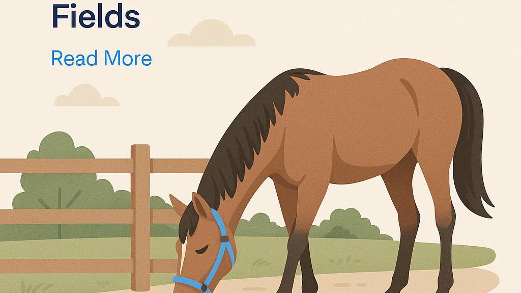 Horse Grazing Transitions: Protect Gut, Weight And Fields- just horse riders