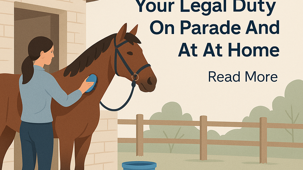 UK Horse Welfare: Your Legal Duty On Parade And At Home- just horse riders