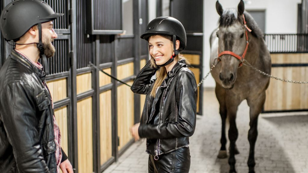 A Comprehensive Guide: How to Buy the Right Horse for You in the UK