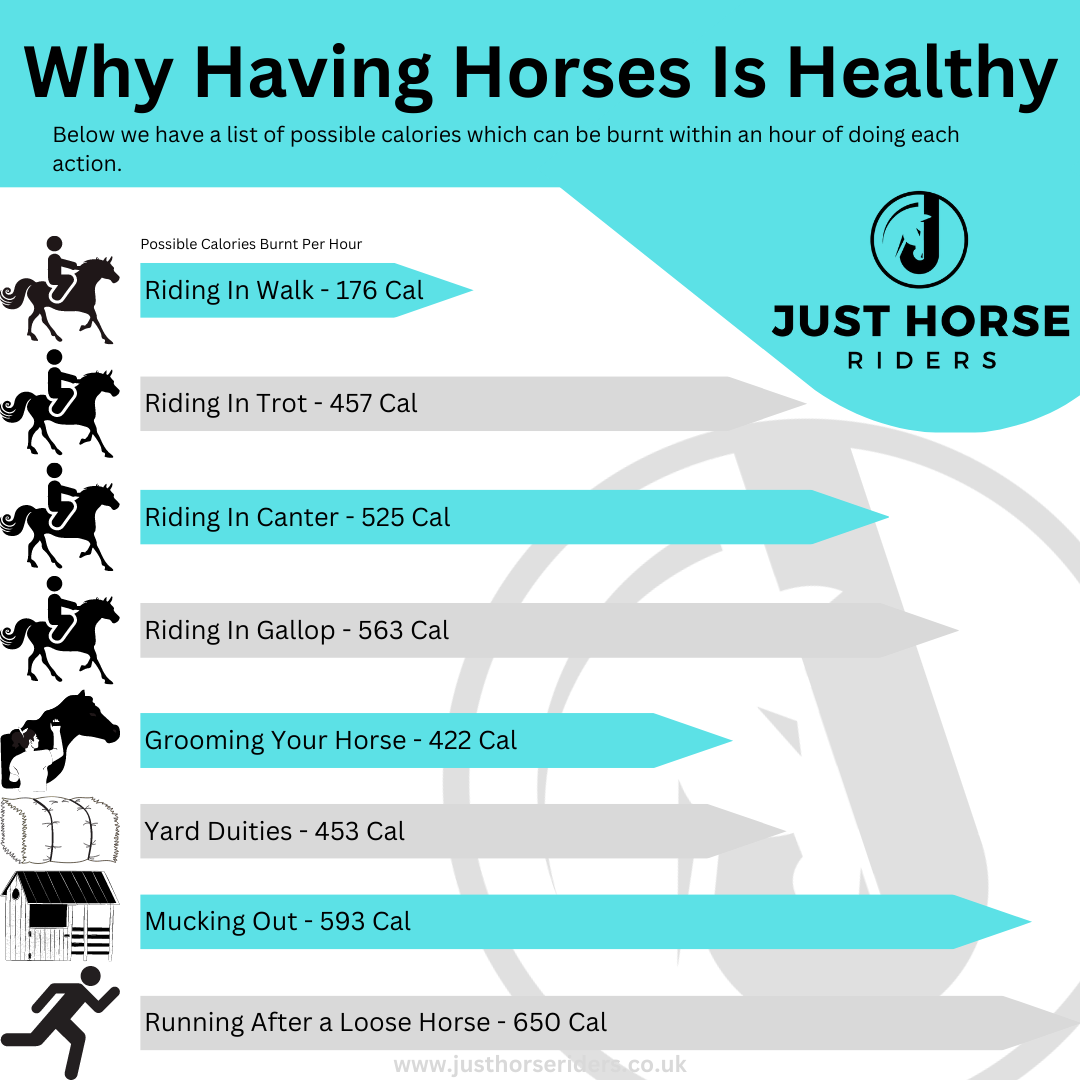How Many Calories Can I Burn When Horse Riding? Just Horse Riders