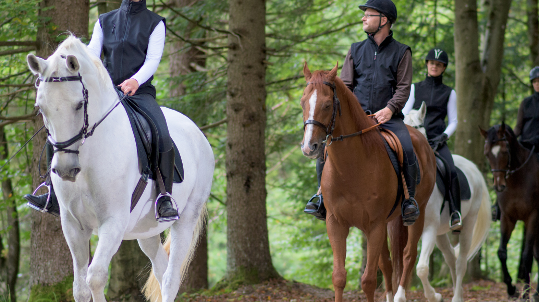 Top 10 Bridle Paths In The UK