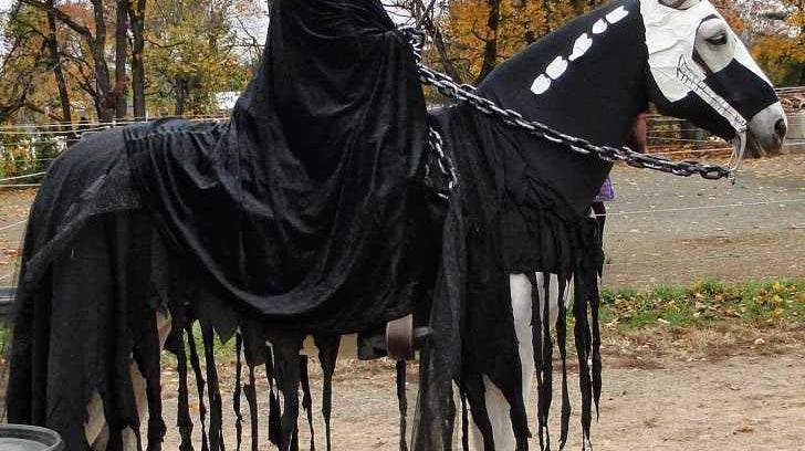 Top 5 Best Halloween Costume for Horse and Rider.