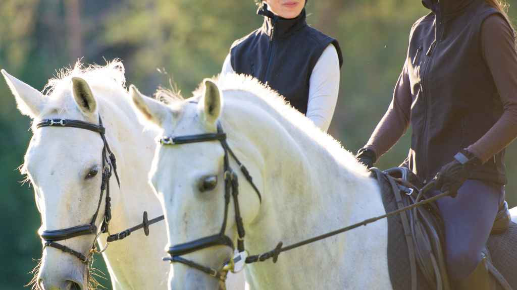 two ladies riding on a horse - just horse riders