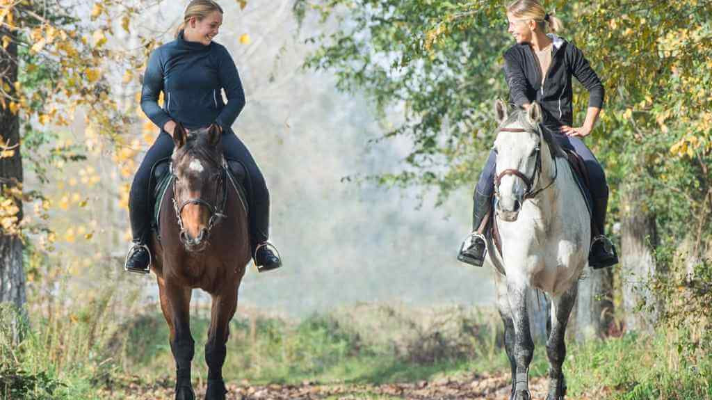 The Top 10 Horse Riding Destinations in the UK