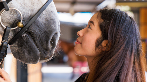 Horses and Your Mental Health