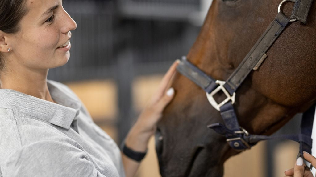 The Equestrian's Guide to Horse Gastric Ulcers: Signs, Diagnosis, and Treatment