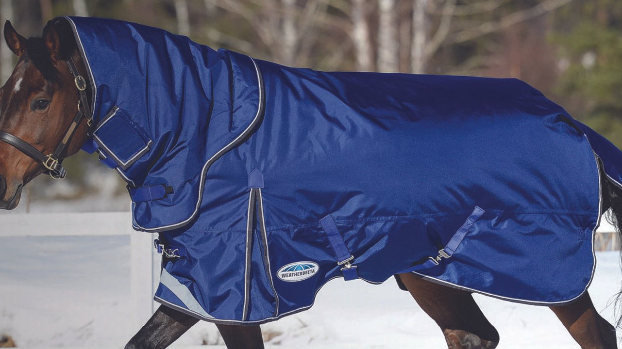 The Top 10 Winter Grooming Hacks