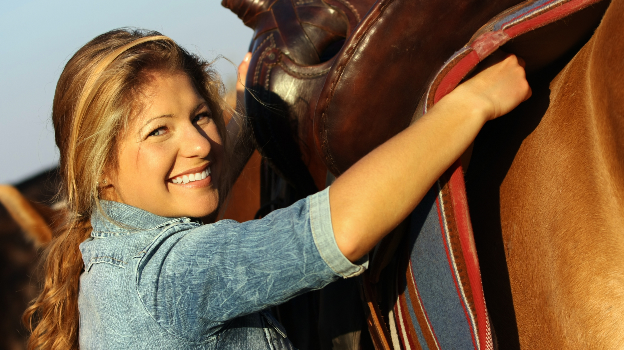 Saddle Up: Your Comprehensive Guide to Choosing the Perfect Saddle for You and Your Horse
