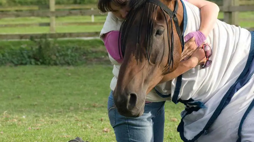 woman hugging a horse in a field - just horse riders