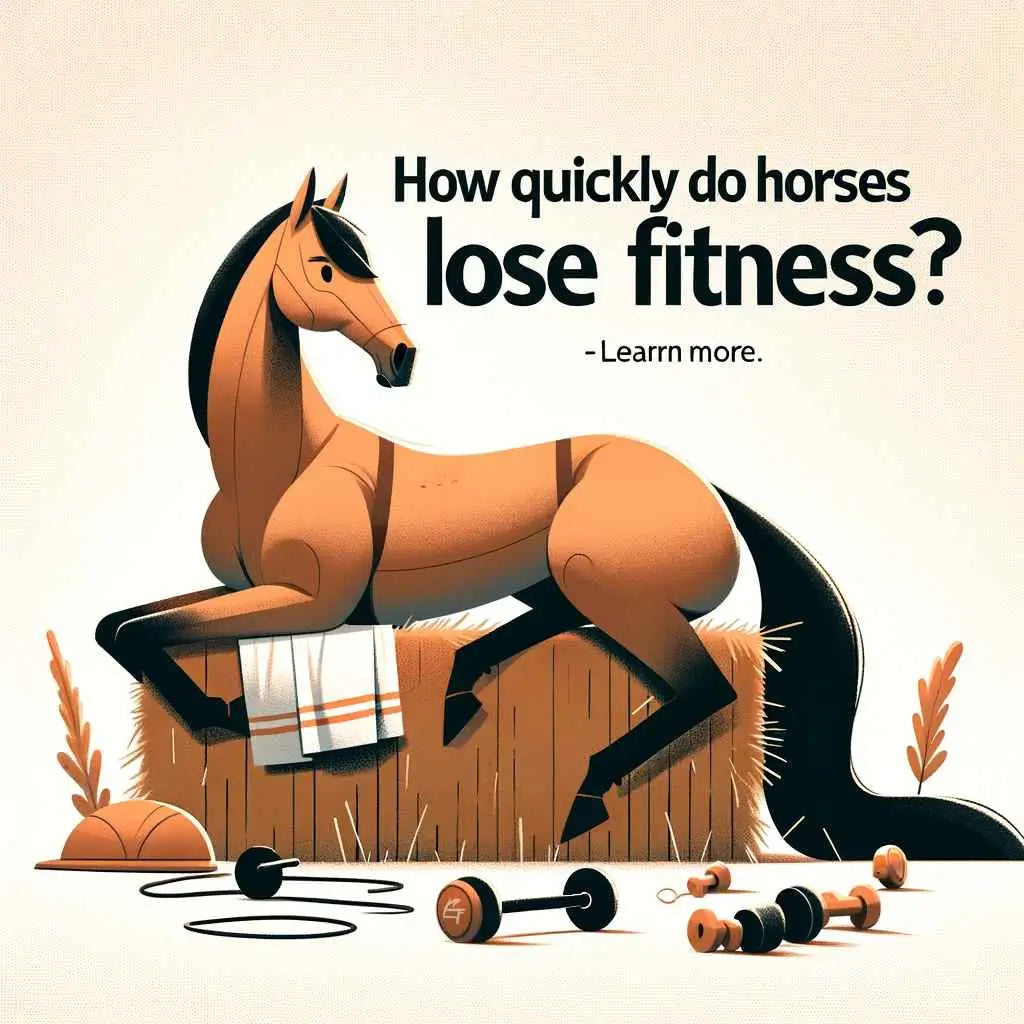 Discover Now How Quickly Do Horses Lose Fitness Read Our Insights