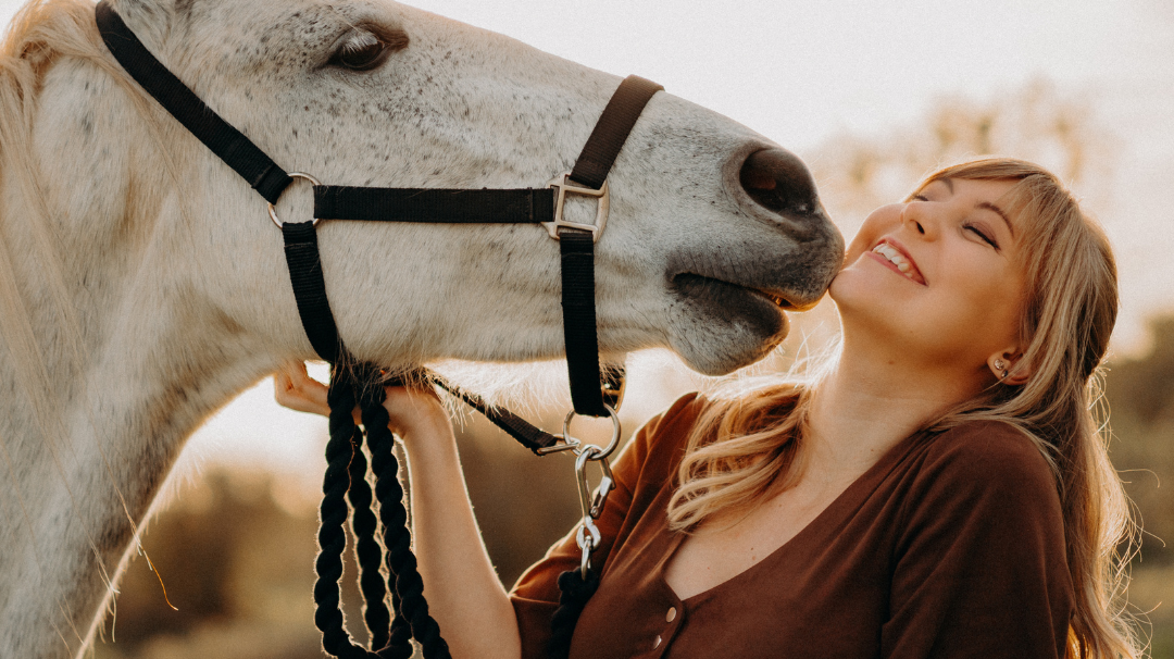 Can Valentines day be for horses?