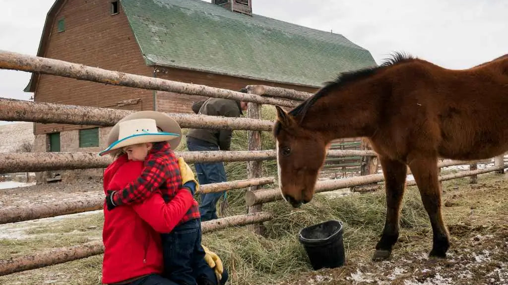 little bot scared of a horse - just horse riders