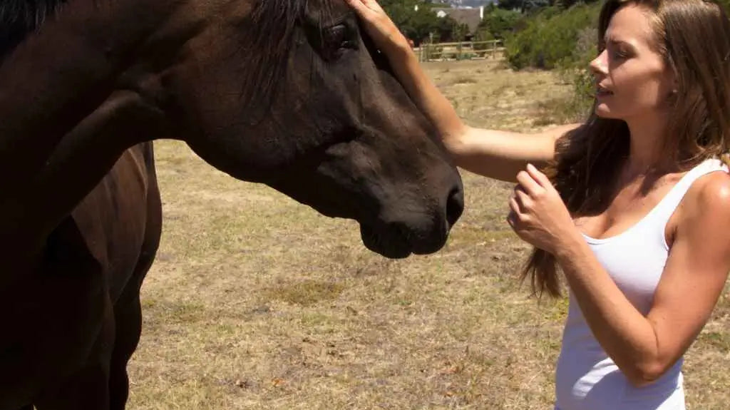 woman talking to a horse - just horse riders