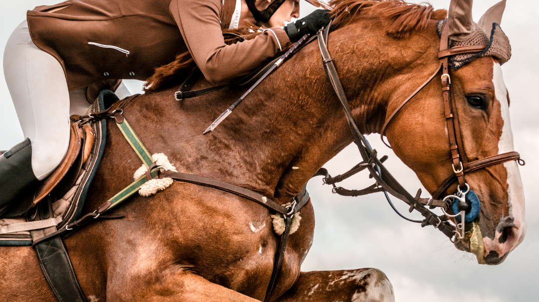 Legends of the Saddle: The 10 Greatest Horse Riders and Equestrian Disciplines