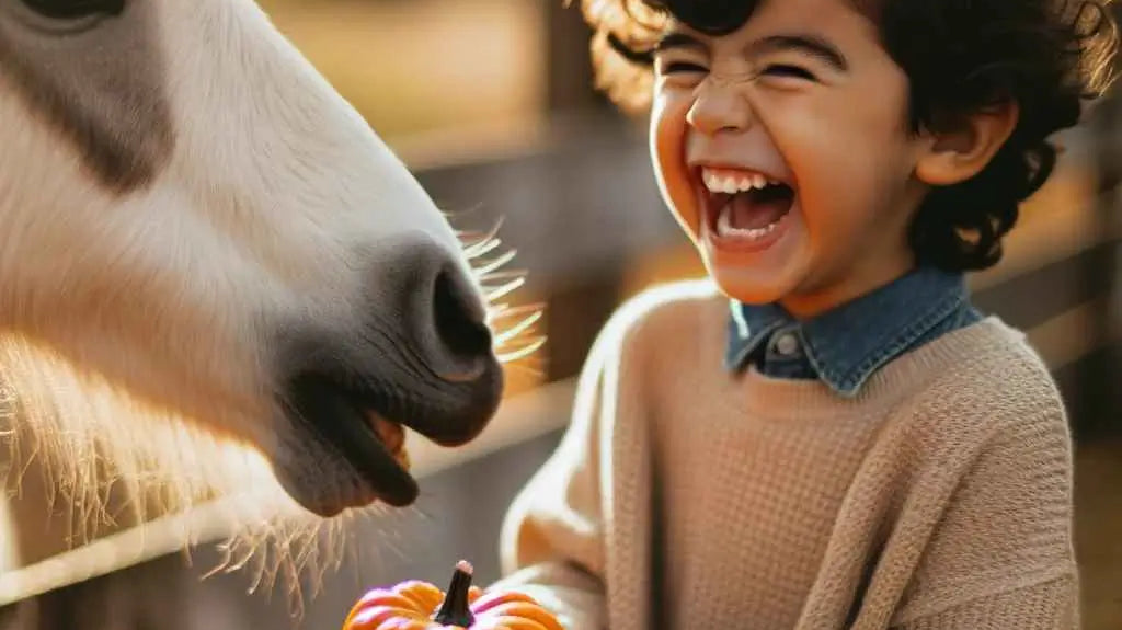young boy feeding a pumpkin to a horse - just horse riders