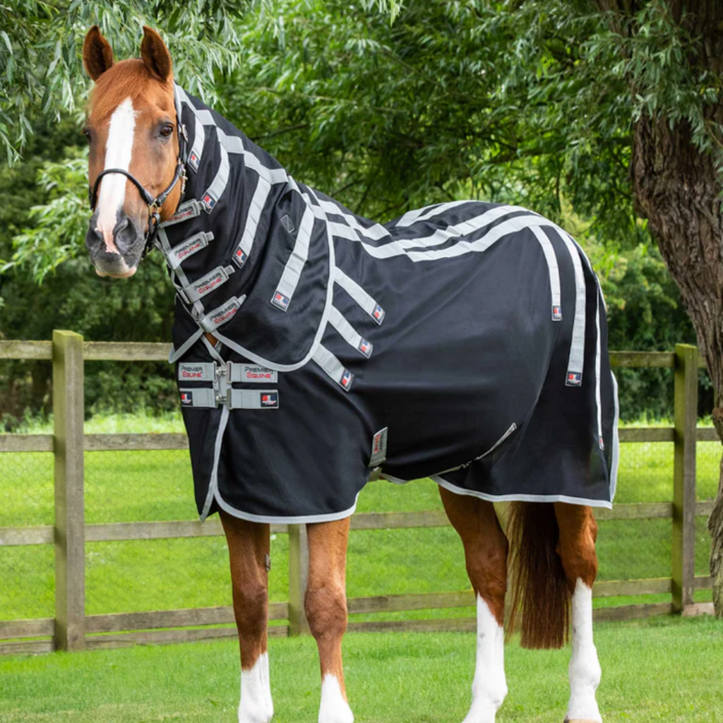 Premier Equine Therapy