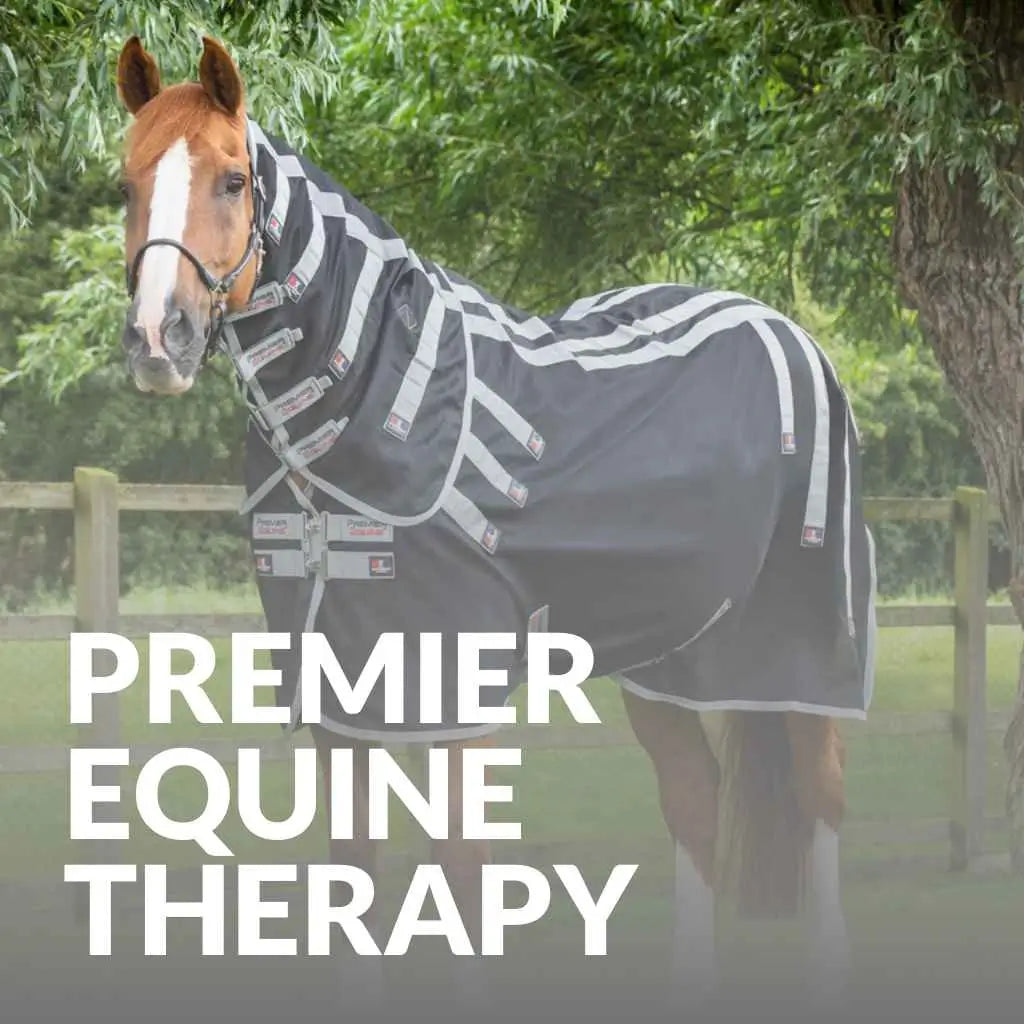 Explore Top Premier Equine Therapy Products – Get Yours Now!
