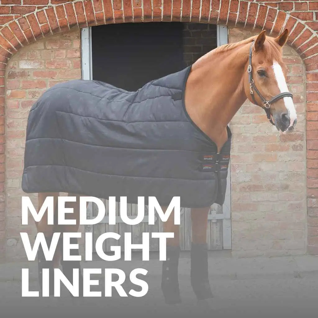 Premier Equine Mediumweight Horse Rug Liners – Shop Durable Warmth Now