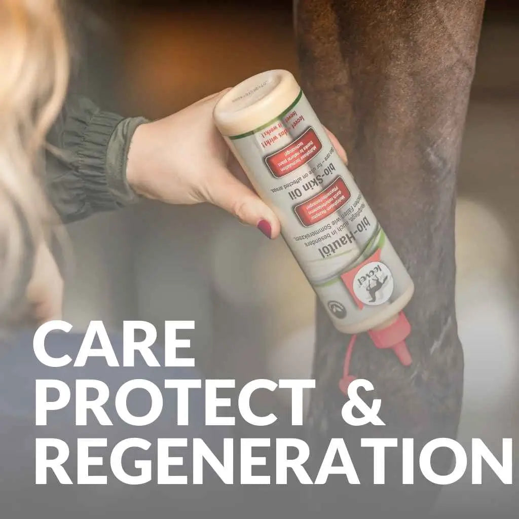 Shop Leovet Horse Skin Care – Protect & Regenerate Now