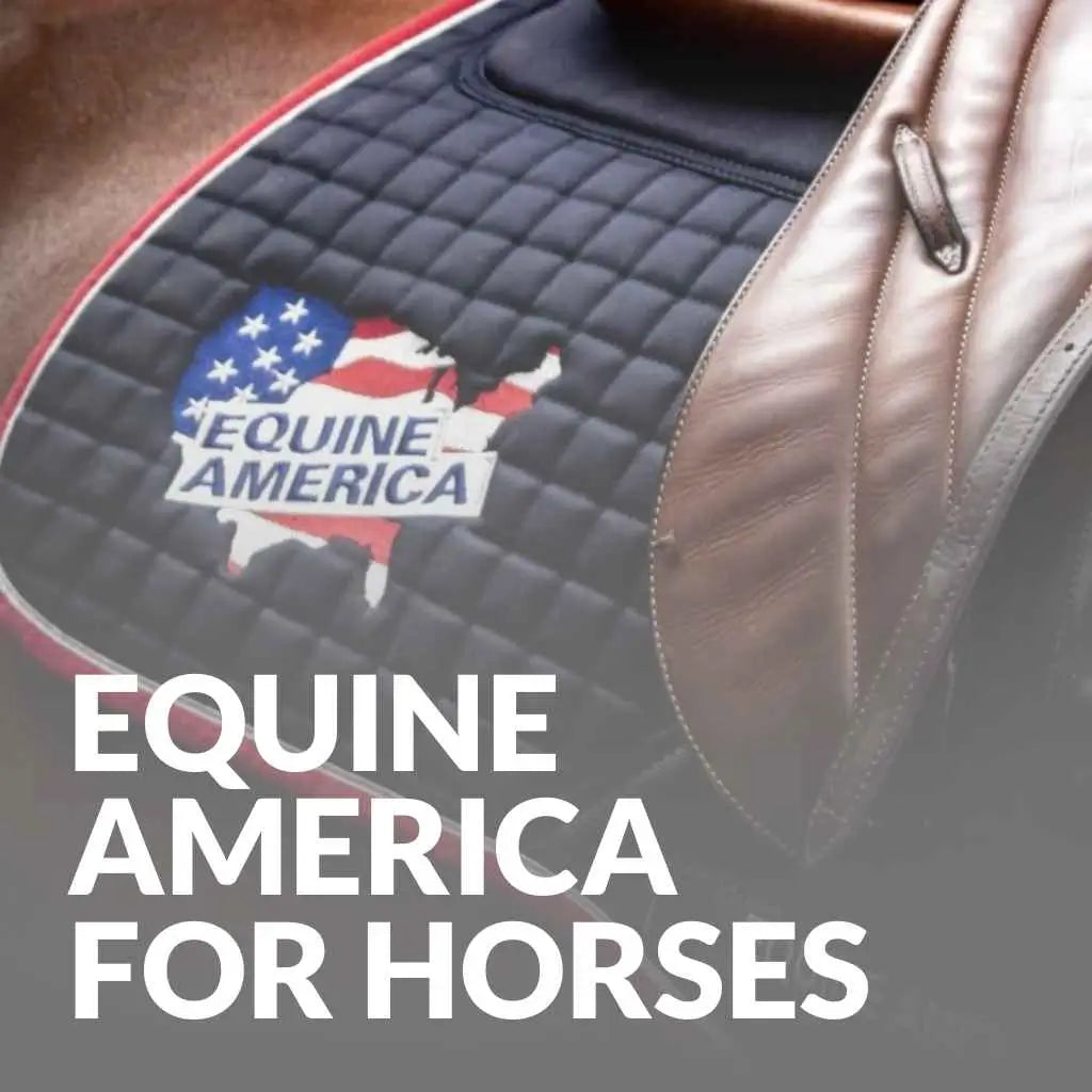 Equine America For Horses