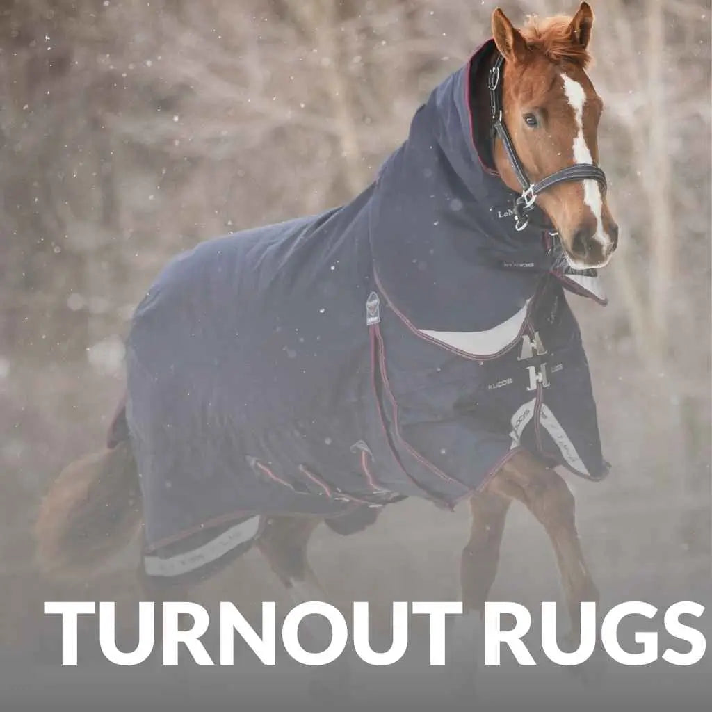 Premium LeMieux Turnout Rugs - Shop Durable Horse Rugs Now