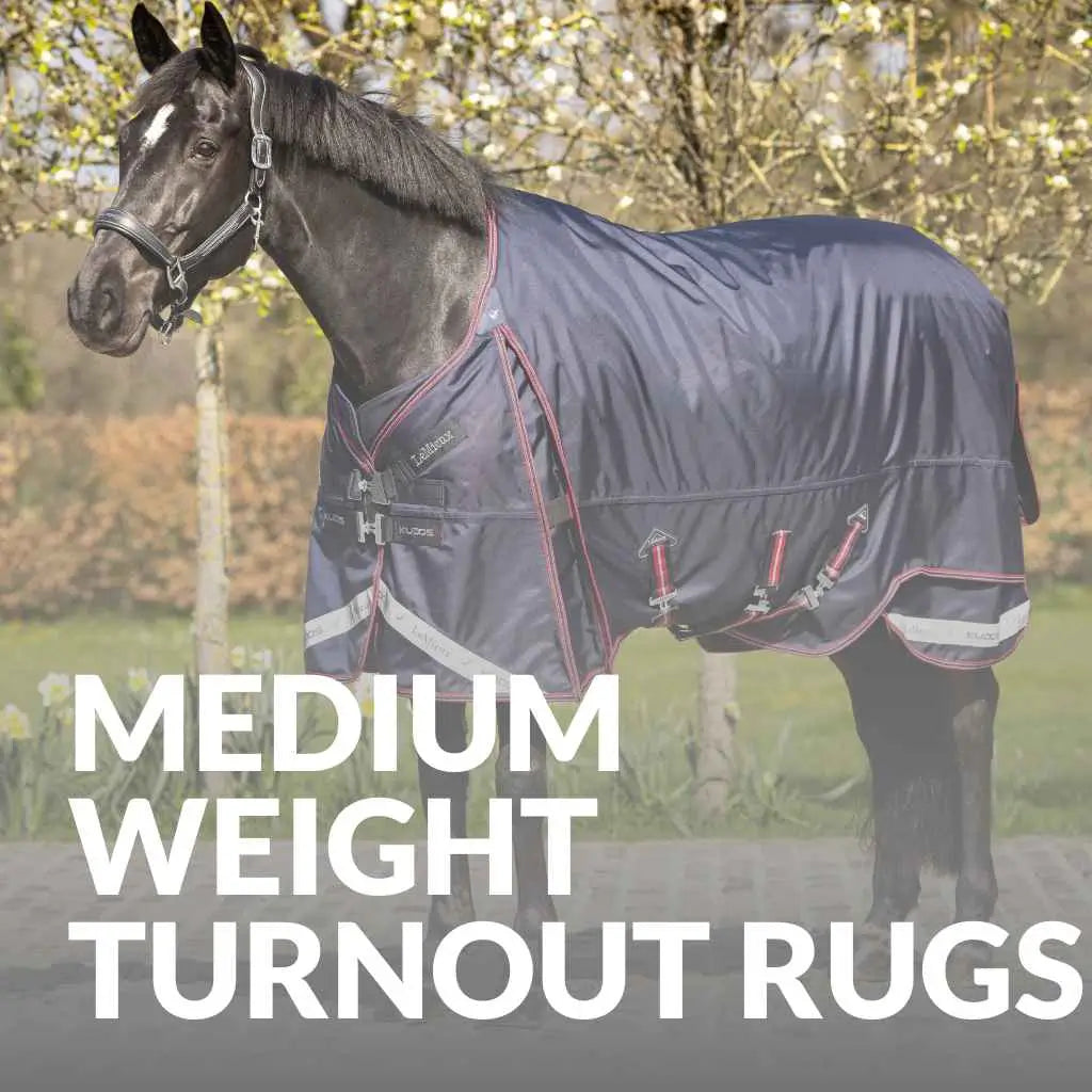 Premium Mediumweight Rugs for Horses – Buy LeMieux Now
