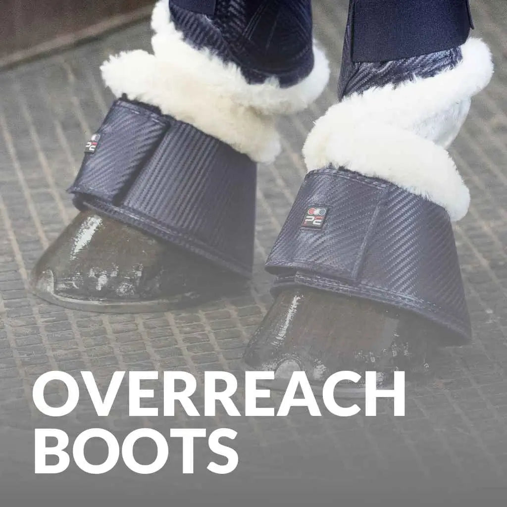 Premier Equine Over Reach Boots - Shop Top-Rated Protection Today