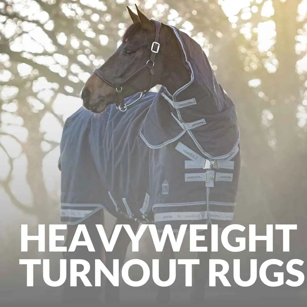 Explore Premium Heavyweight Horse Rugs – Shop LeMieux Now!