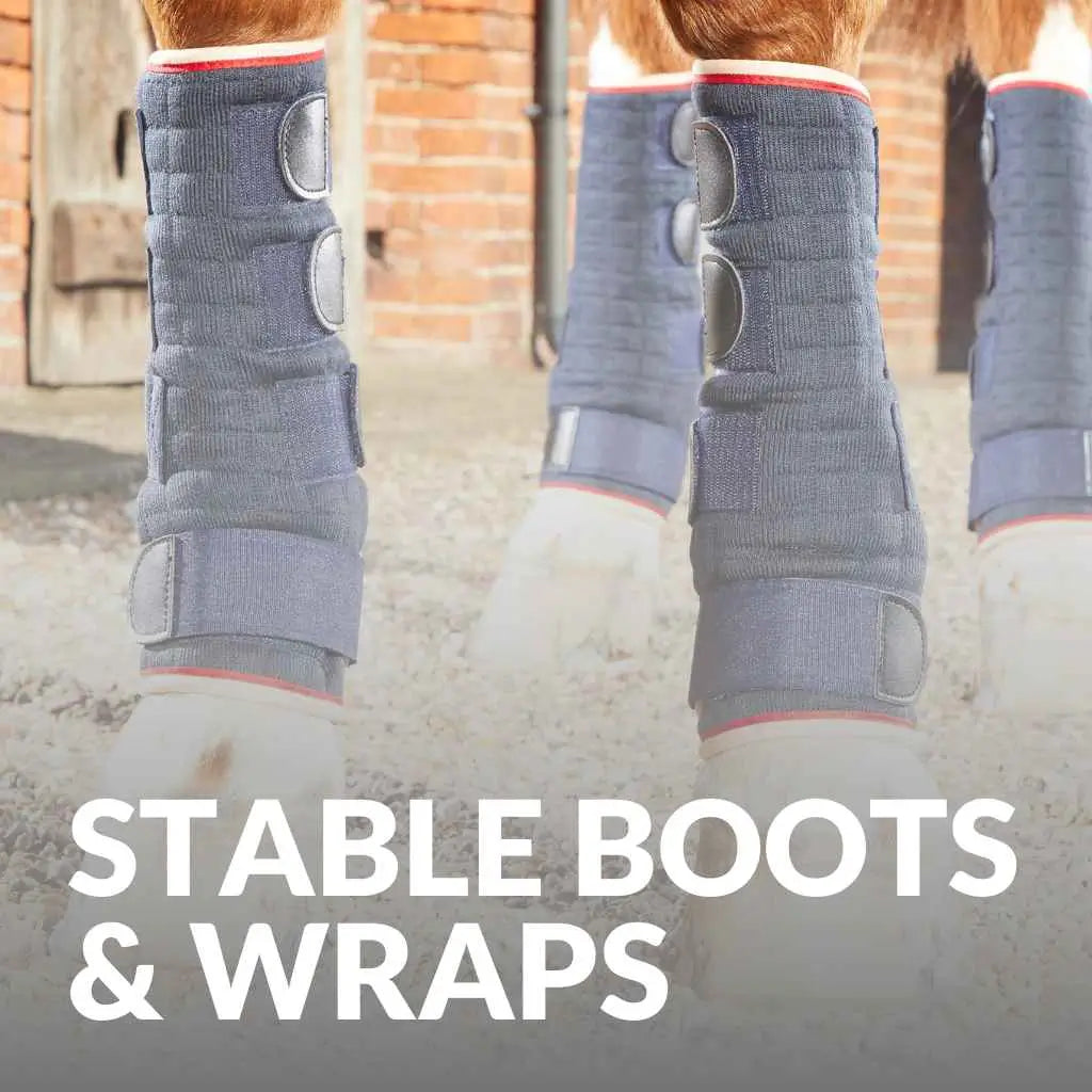 Discover Premier Equine Boots & Wraps for Ultimate Leg Support