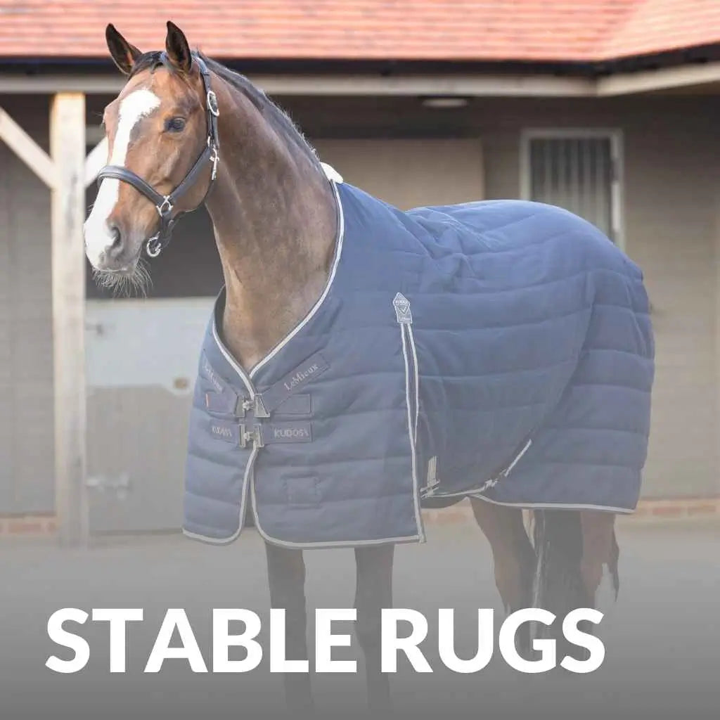 Premium Stable Rugs For Your Horse – Shop LeMieux Today