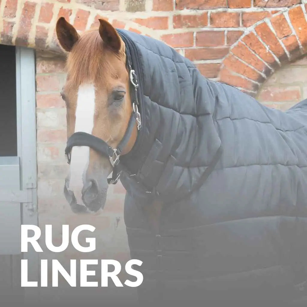 Premier Equine Rug Liners - Buy Now For Ultimate Comfort