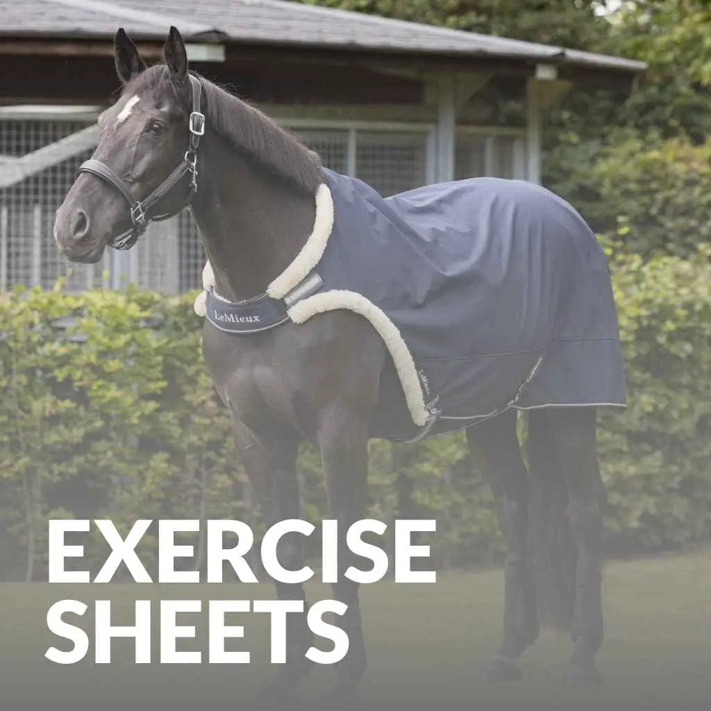 Explore High-Quality LeMieux Exercise Sheets – Get Yours Today