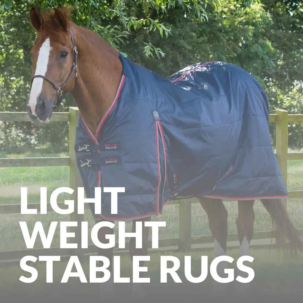 Keep Your Horse Cozy With Premier Equine Stable Rugs – Buy Now