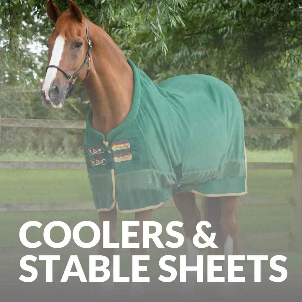 Premium Cooler Rugs & Stable Sheets For Ultimate Horse Comfort