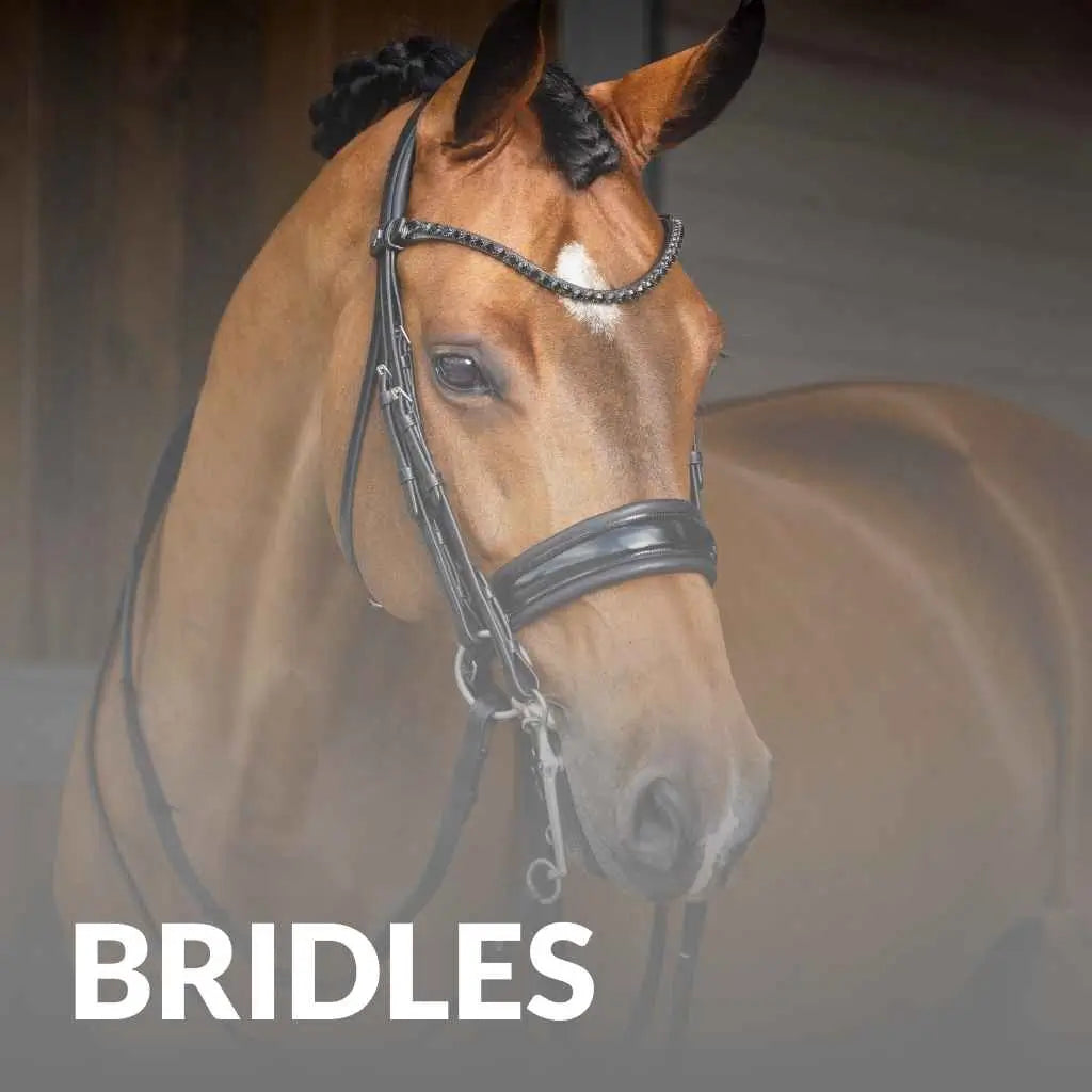 Discover The Best LeMieux Bridles – Buy Quality Bridles Today