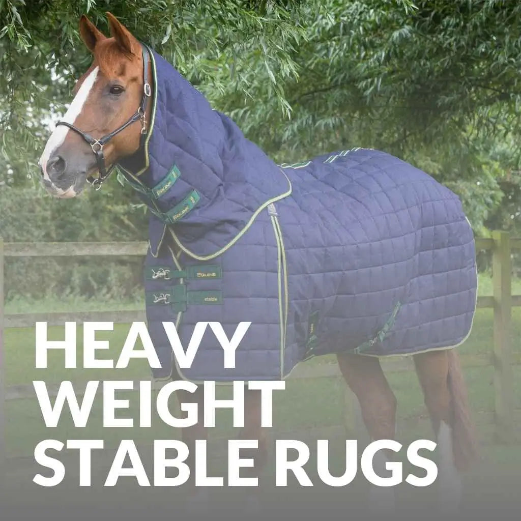 Premier Equine Heavyweight Stable Rugs – Buy Now For Winter Comfort