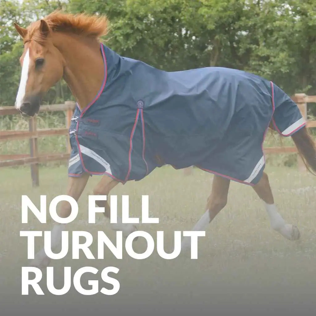 Waterproof No Fill Turnout Rugs – Premier Equine’s Top Picks
