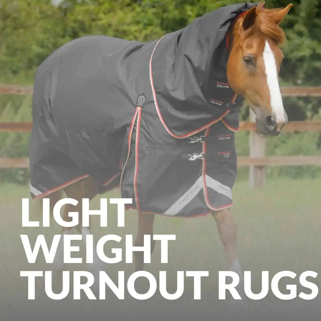 Premier Equine Lightweight Rugs – Shop Now for Comfort