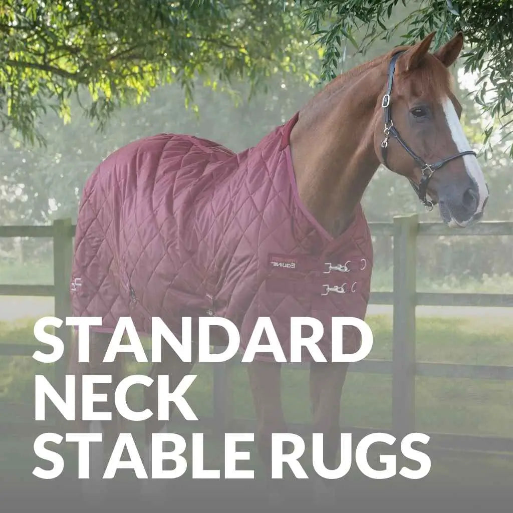 Premier Equine Standard Neck Stable Rugs – Shop Now For Quality & Comfort