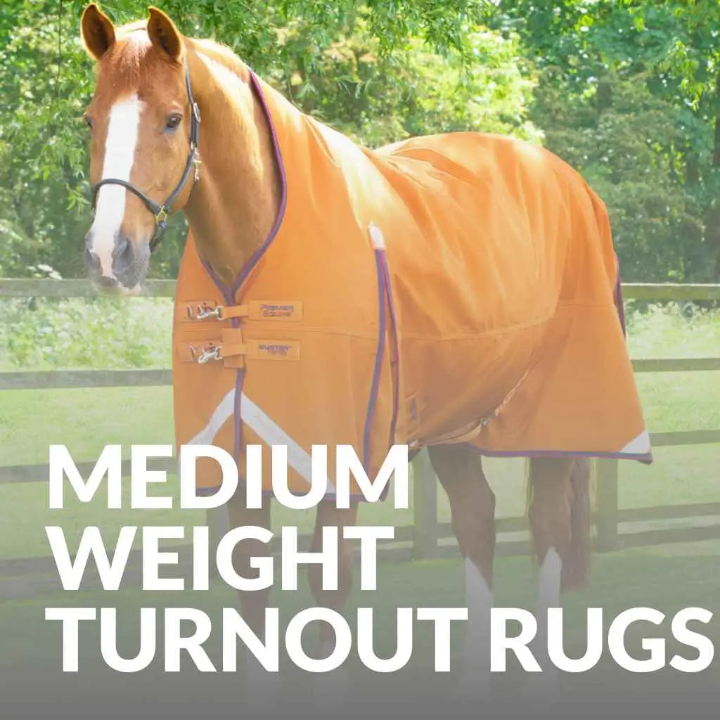 Premier Equine Mediumweight Turnout Rugs - Shop Now for Comfort & Quality