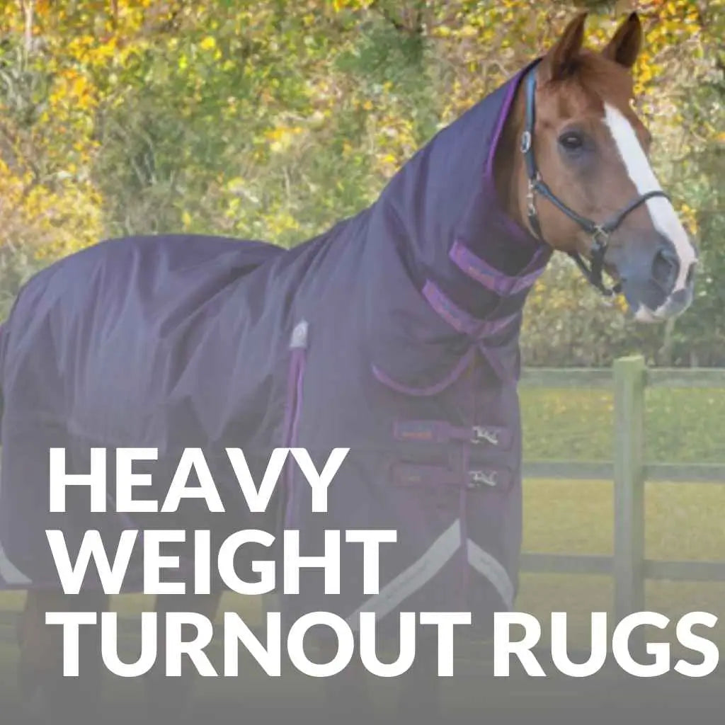 Premier Equine Heavyweight Turnout Rugs - Shop Now For Winter Protection
