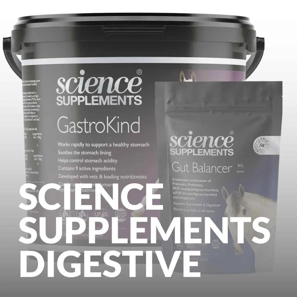 Digestive health science supplements - just horse riders