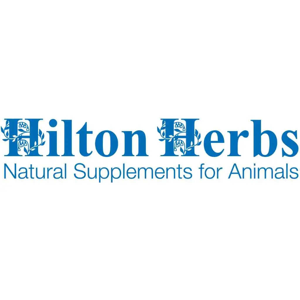 Hilton Herbs: A Journey of Herbal Excellence for Equestrian Health - just horse riders