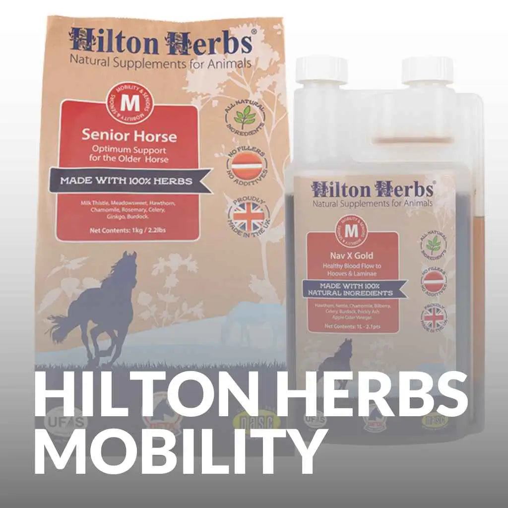 Buy Hilton Herbs Horse Supplements for Improved Mobility Now - just horse riders