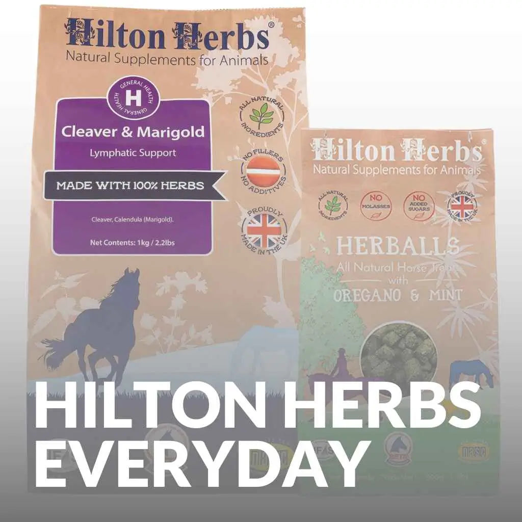 Buy Hilton Herbs Supplements for Horse Health & Vitality Now! - just horse riders