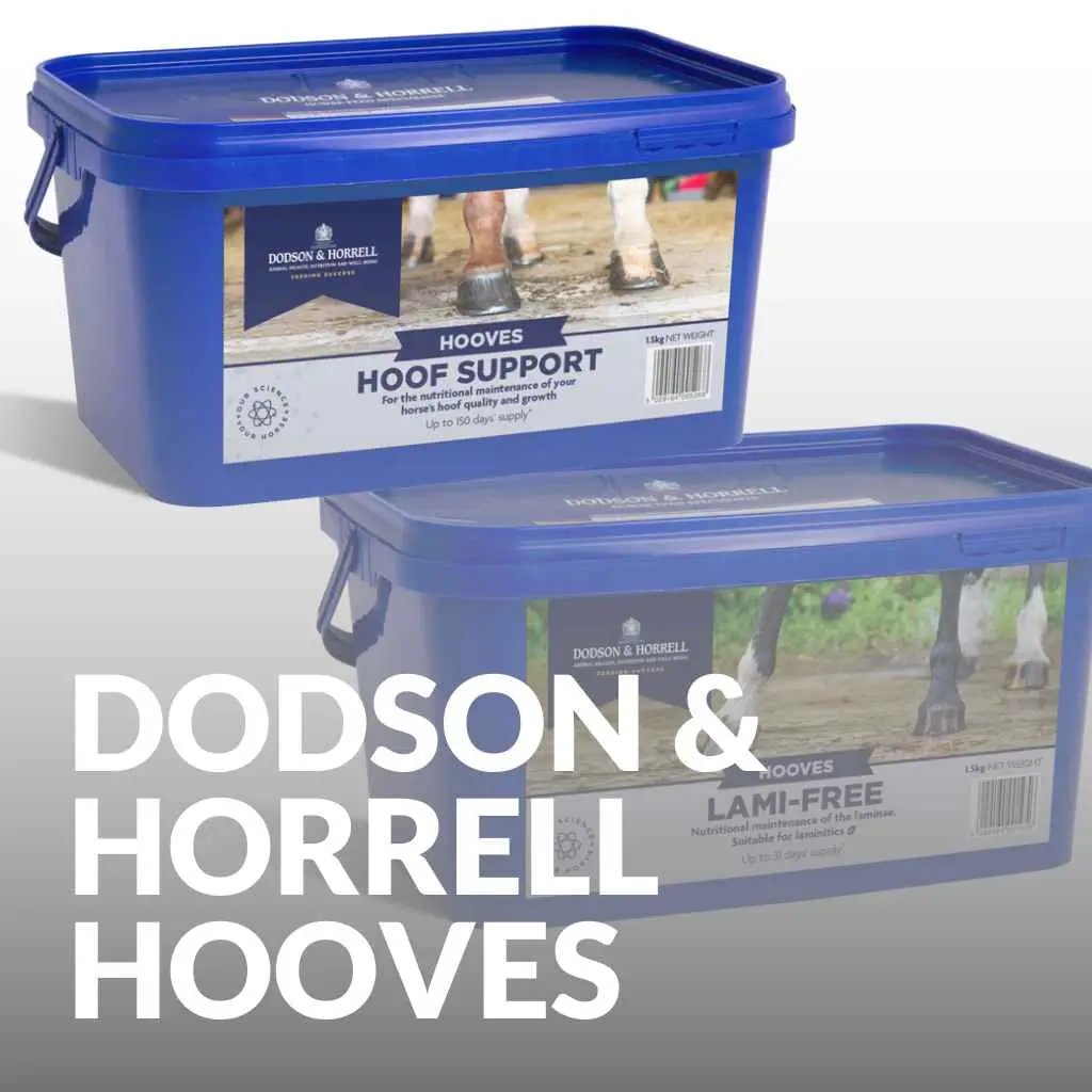 Shop Dodson & Horrell Hoof Care Supplements for Healthy Hooves - just horse riders
