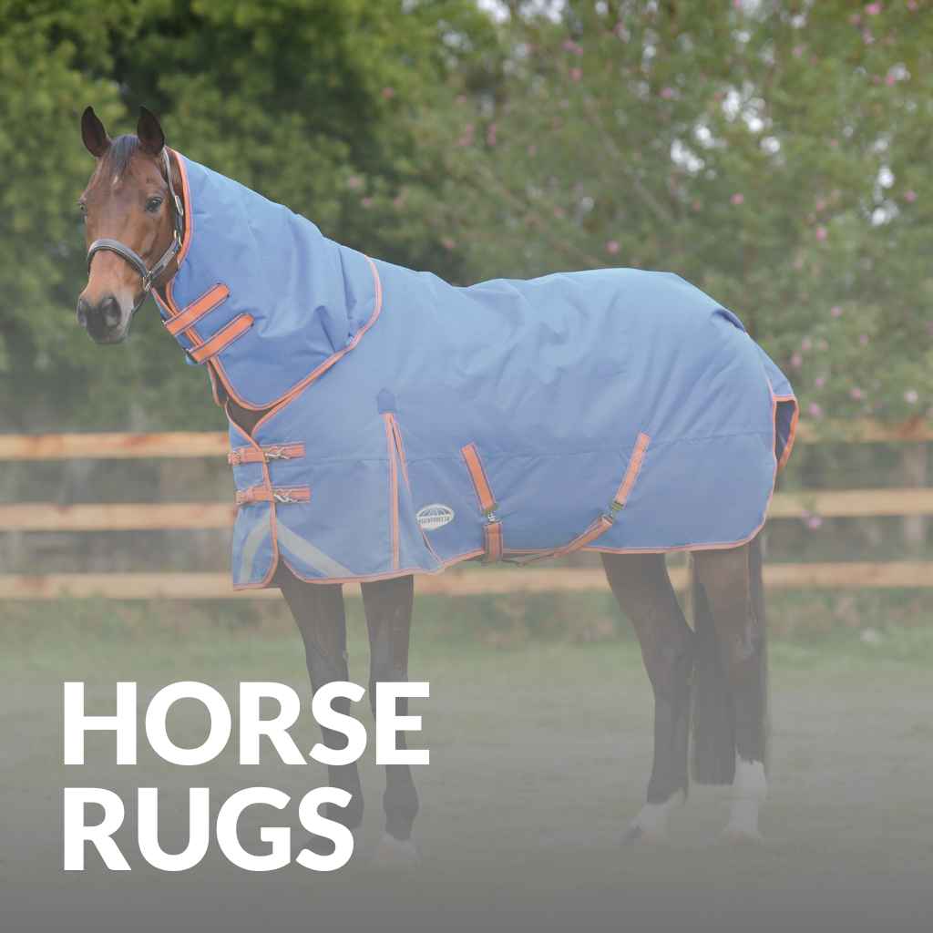 Buy the Best Horse Rugs Now Best Deals on Just Horse Riders