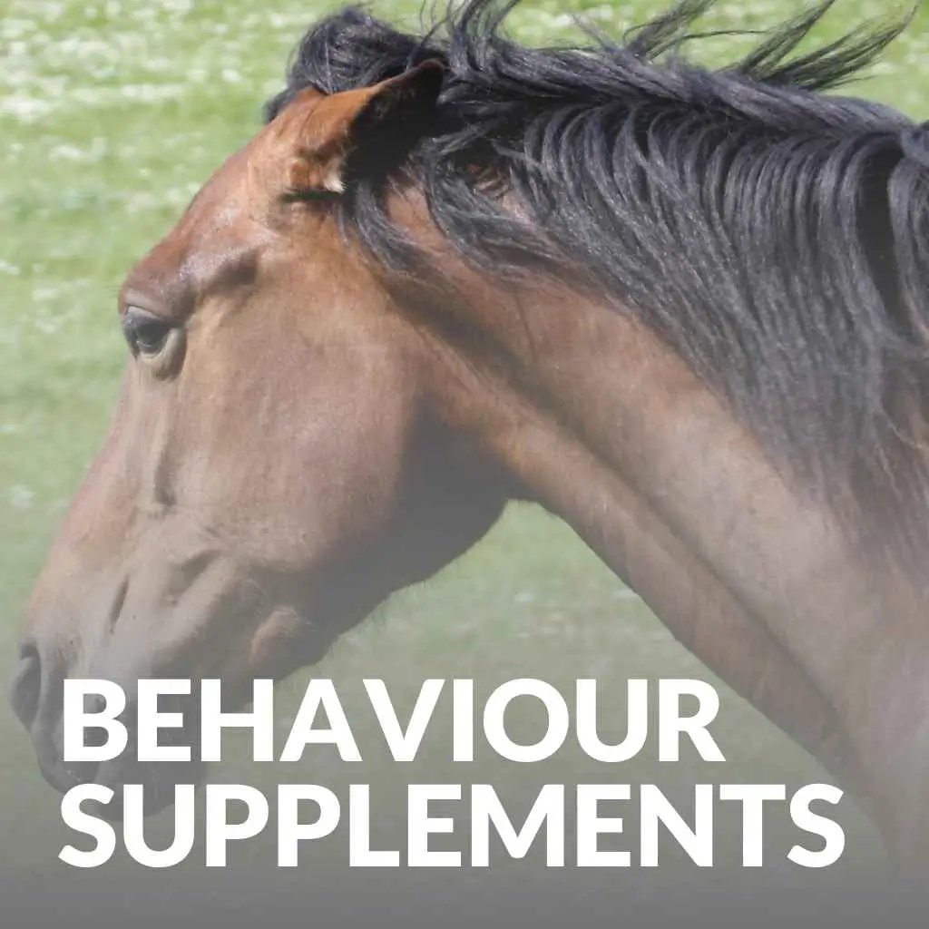 shop the best horse behavior supplements - just horse riders