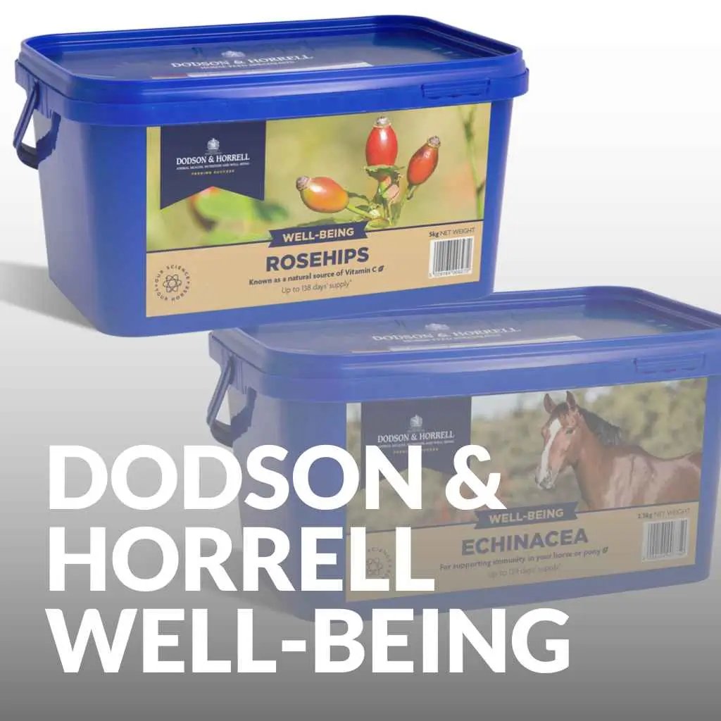 Explore Dodson & Horrell Supplements for Horse Wellbeing & Immunity - just horse riders